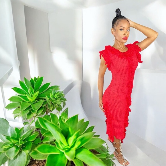 NEW Double Take Red Knit Sleeveless Fringe Sweater Dress - Picture 6 of 17